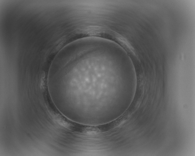 X0000075830073200609151249