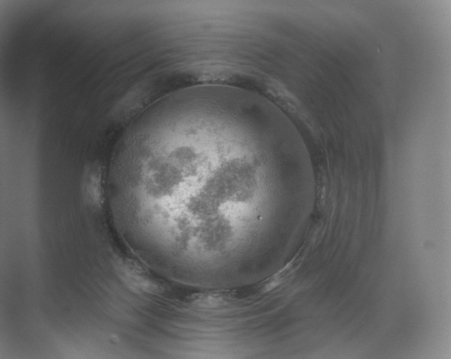 X0000075830074200609151249