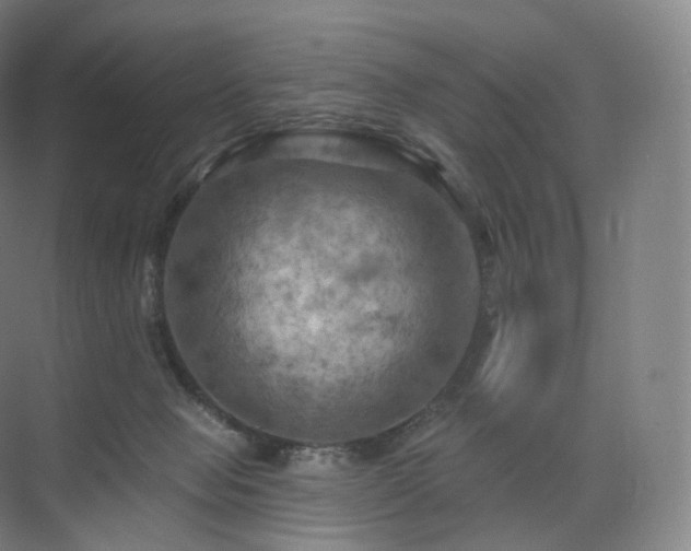 X0000075830077200609151249