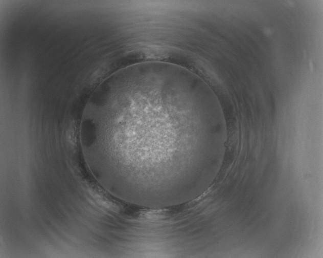 X0000075830078200609151249