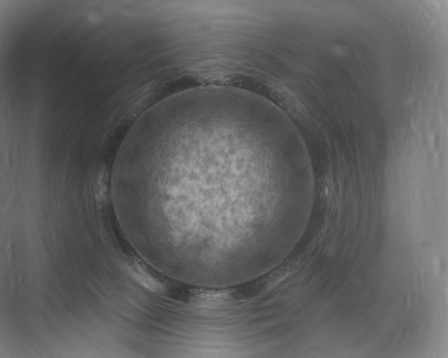 X0000075830081200609151249