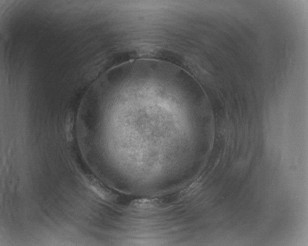 X0000075830082200609151249