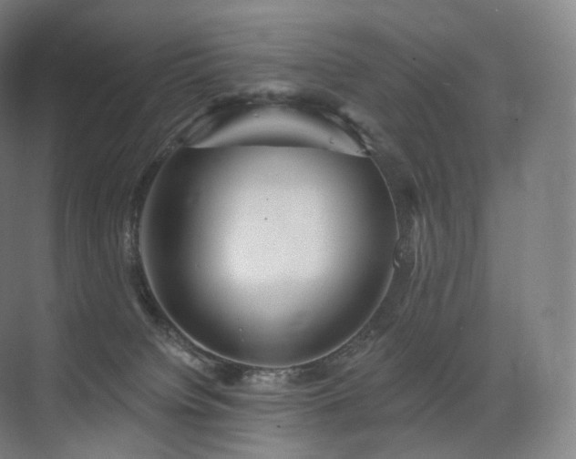 X0000075830084200609151249