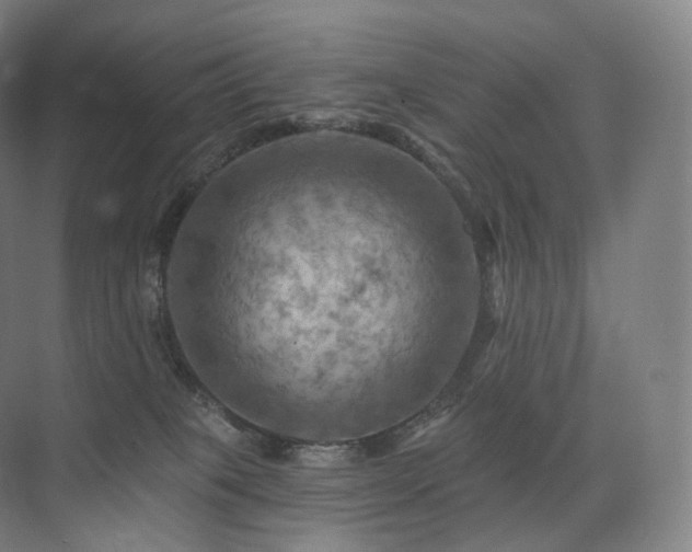 X0000075830085200609151249