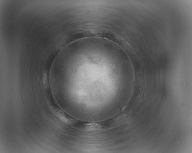 X0000075830087200609151249