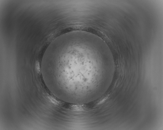 X0000075830089200609151249