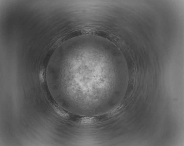 X0000075830090200609151249