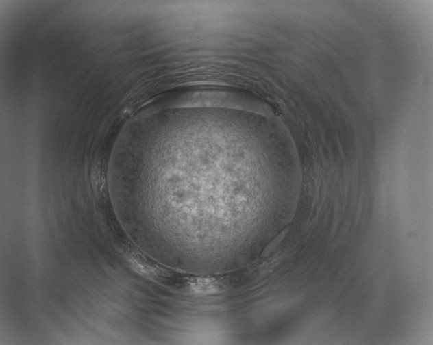 X0000075830091200609151249