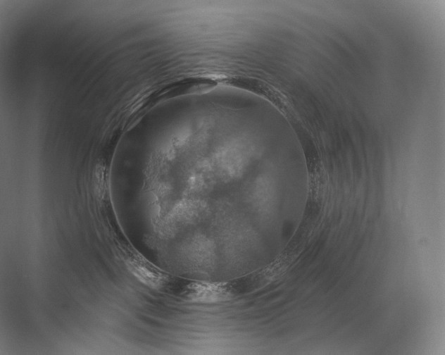 X0000075830093200609151250