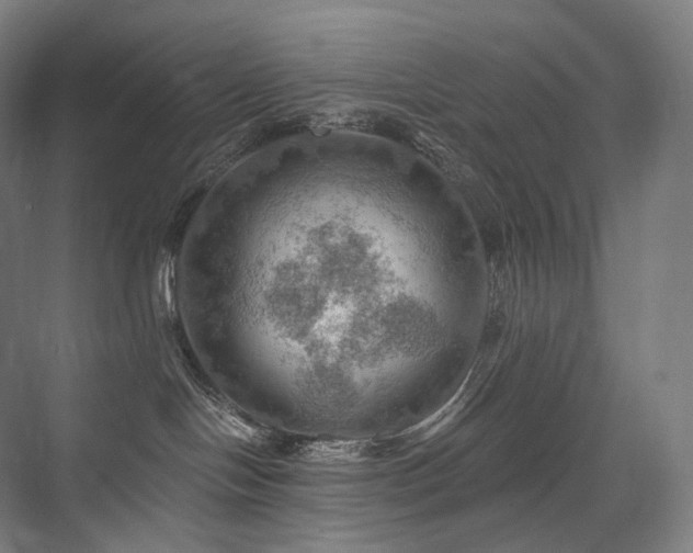 X0000075830094200609151250