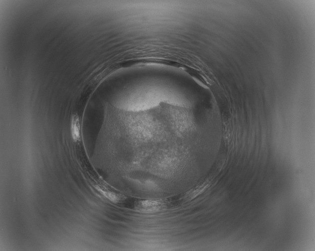 X0000075830095200609151250