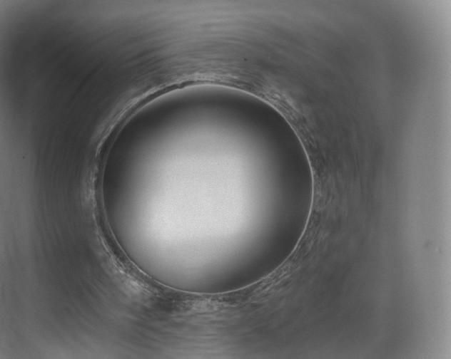 X0000075830098200609151249