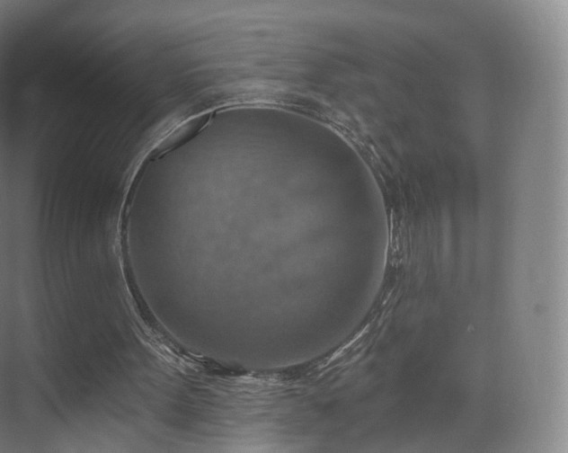 X0000075830099200609151249