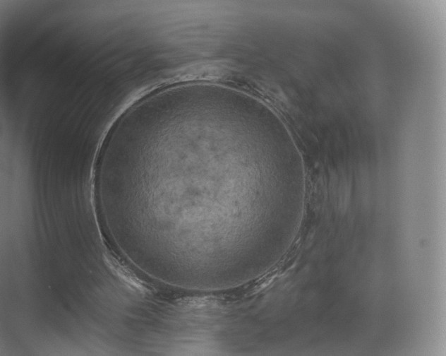 X0000075830100200609151249