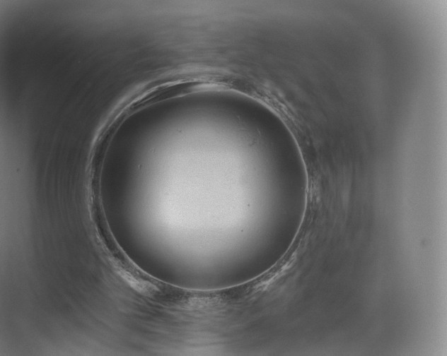 X0000075830101200609151249