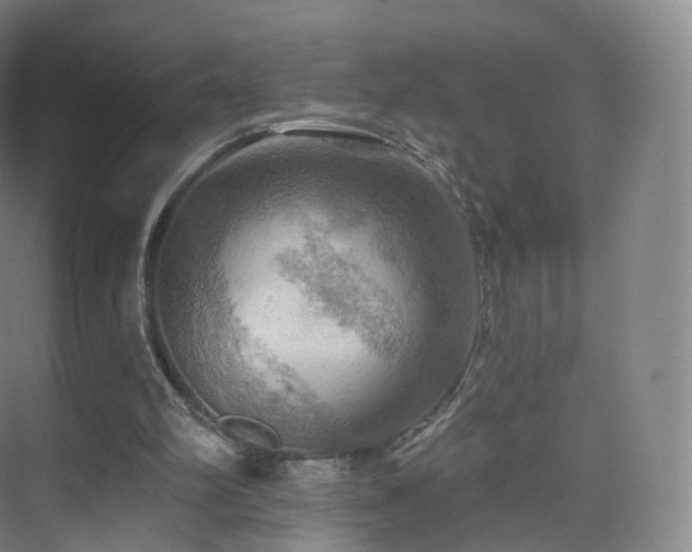 X0000075830102200609151249