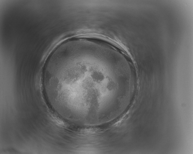 X0000075830103200609151249