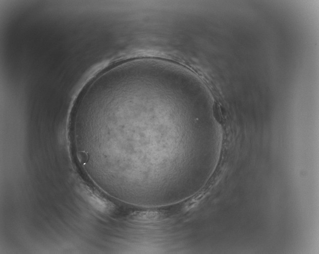 X0000075830104200609151249