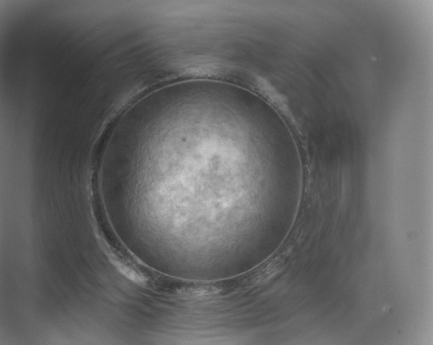 X0000075830106200609151249