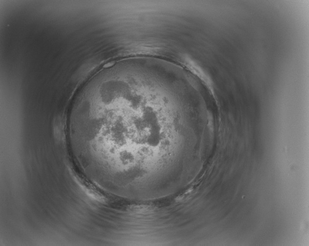 X0000075830107200609151249