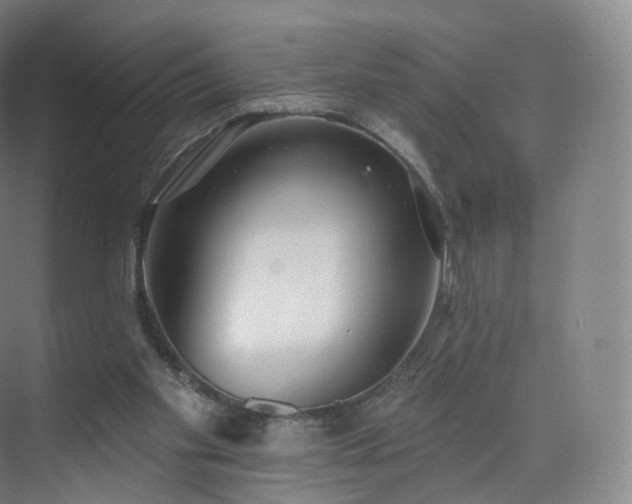 X0000075830109200609151249