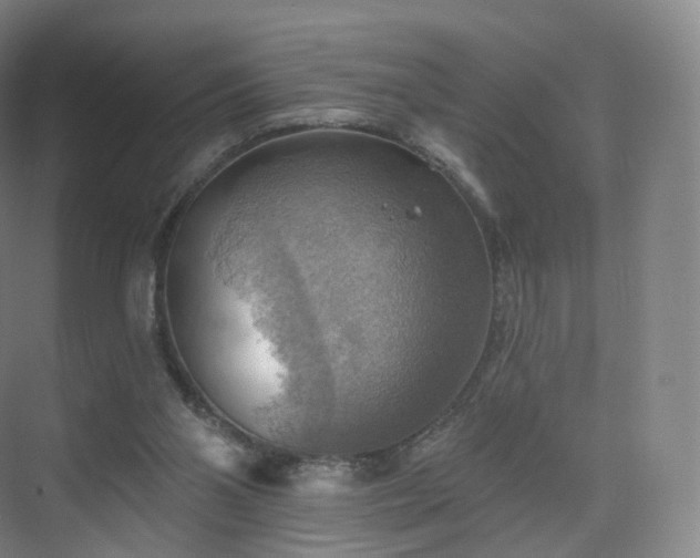 X0000075830110200609151249