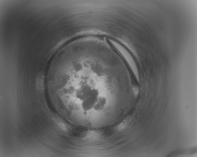 X0000075830111200609151249