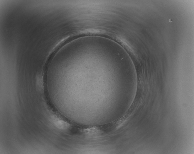 X0000075830112200609151249