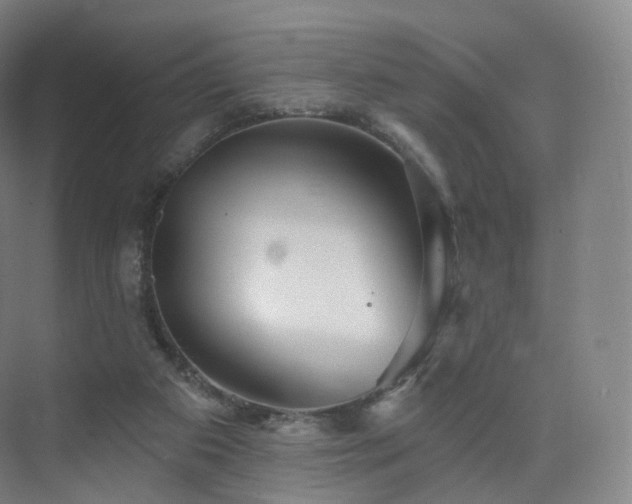 X0000075830113200609151249