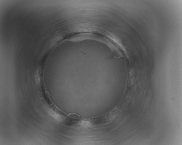 X0000075830114200609151248