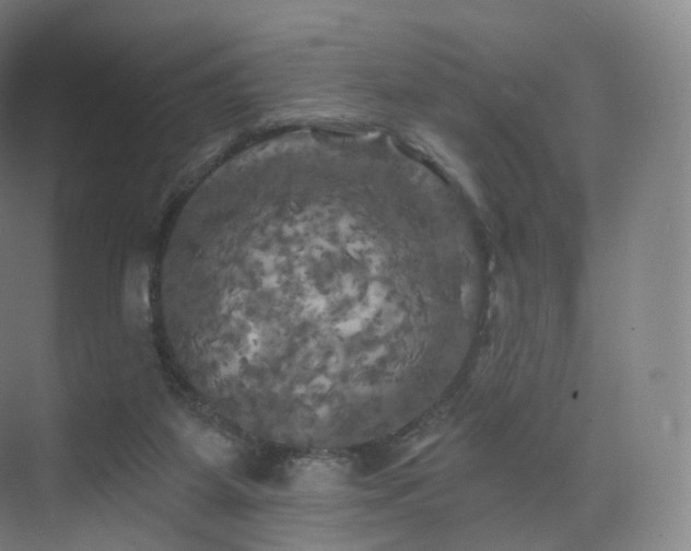 X0000075830115200609151248