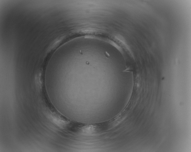 X0000075830116200609151248