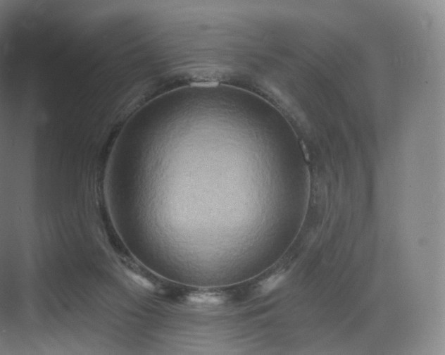 X0000075830117200609151248