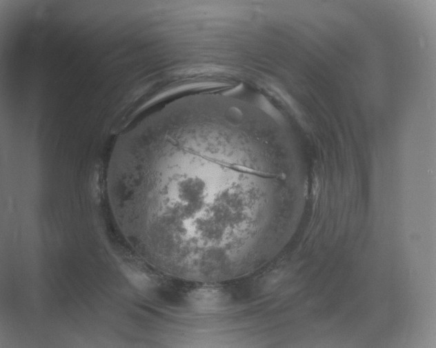 X0000075830119200609151248