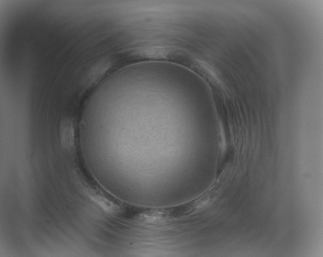 X0000075830120200609151248