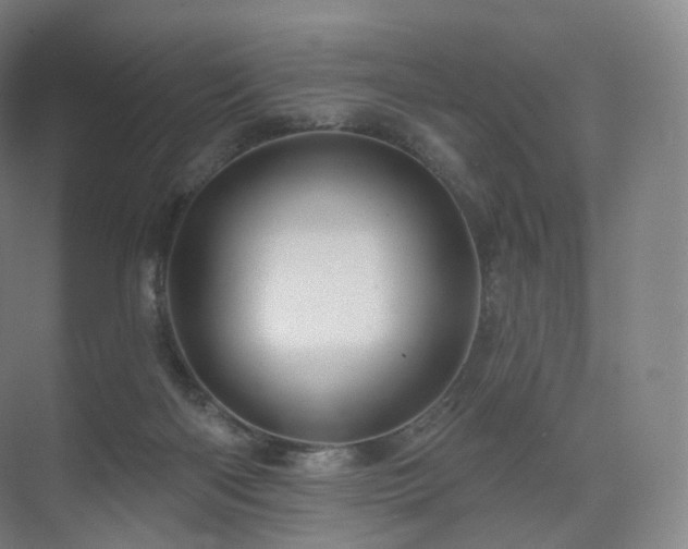 X0000075830122200609151248