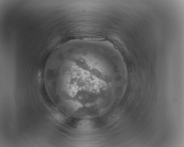 X0000075830123200609151248