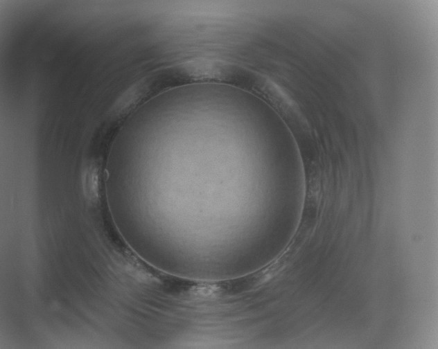 X0000075830124200609151248