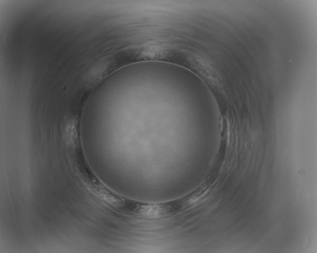 X0000075830127200609151248