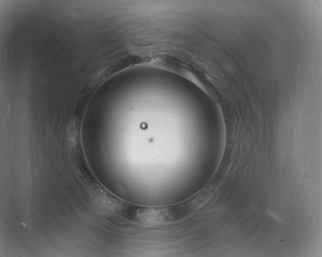 X0000075830129200609151248