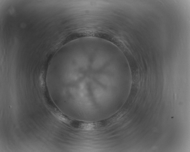 X0000075830131200609151248