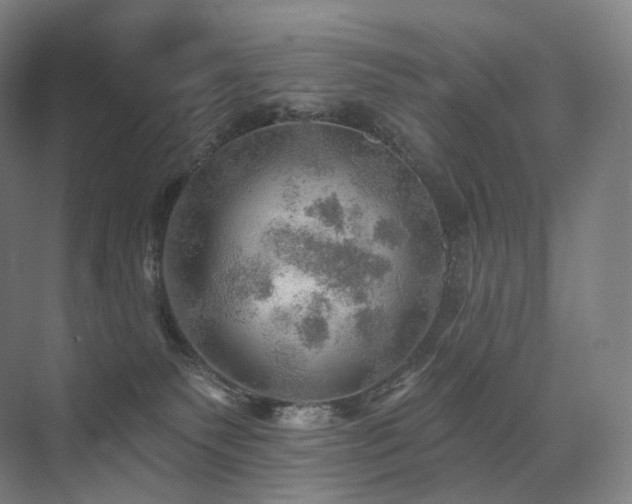 X0000075830135200609151248