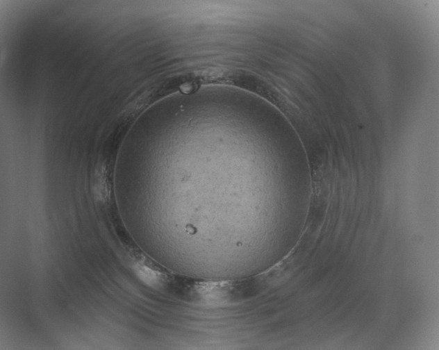 X0000075830136200609151248