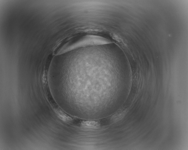 X0000075830137200609151248