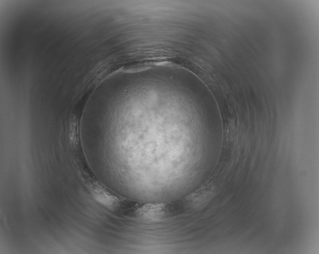 X0000075830138200609151248