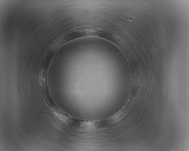 X0000075830140200609151248