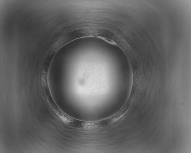 X0000075830141200609151248