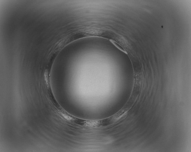 X0000075830143200609151248