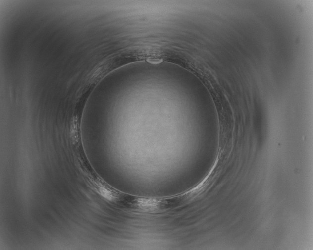 X0000075830144200609151248