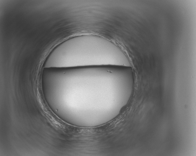 X0000075830145200609151247